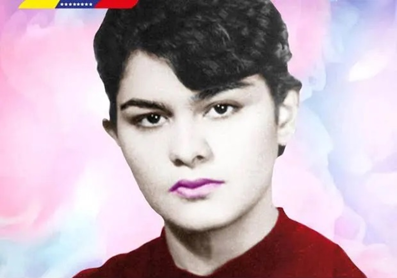 Livia-Gouverneur Memorias de la insurgencia