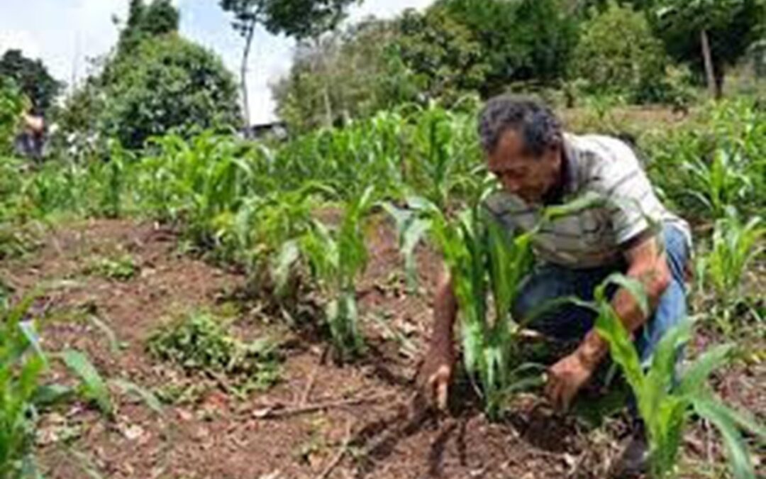 ¿Venezuela será un conuco o un condominio de EEUU?